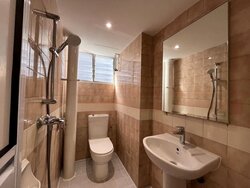 Dunearn Road (D11), Condominium #456269661
